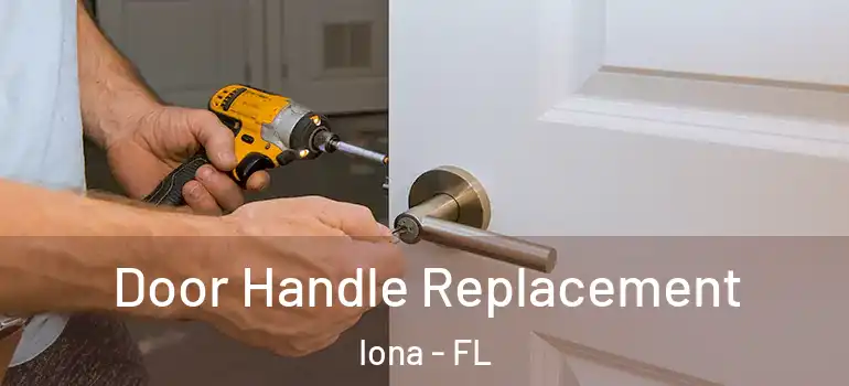  Door Handle Replacement Iona - FL