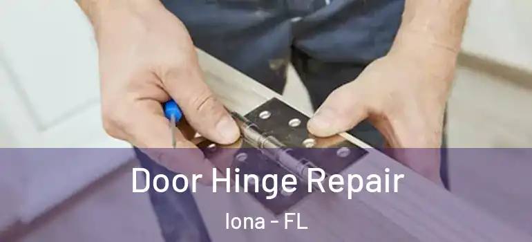  Door Hinge Repair Iona - FL