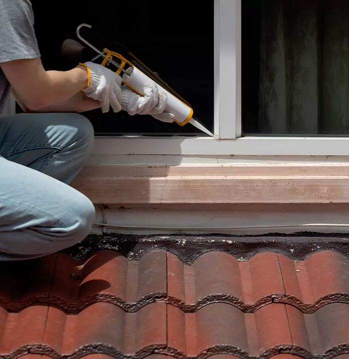 Roof Window Services in Iona, Florida