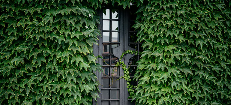 Garden Gate Repair in Iona, FL