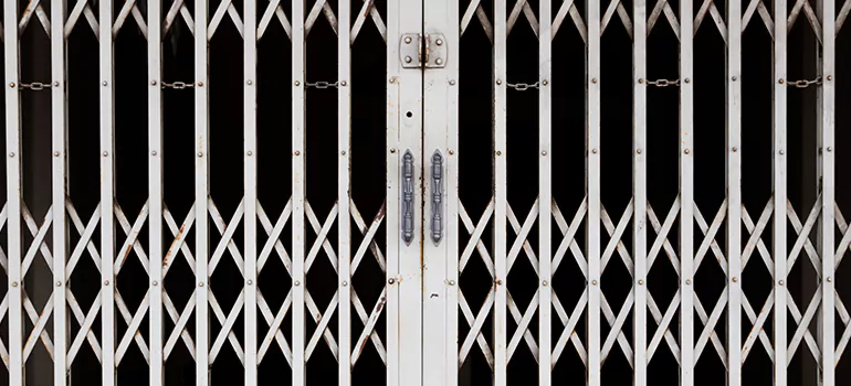 Steel Line Garage Door Repairs in Iona, FL