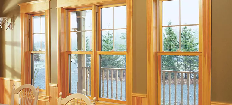 Government Incentives For Replacement Windows in Iona, FL