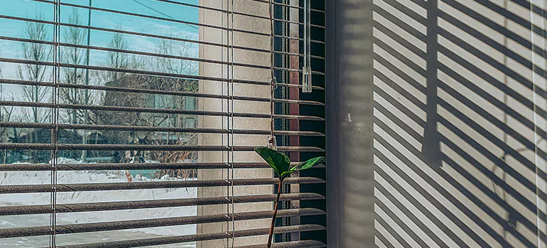Commercial Window Blinds in Iona, FL